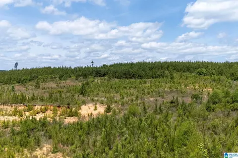 county road 16, Clanton, AL 35045 photo 14