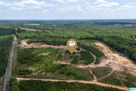 county road 16, Clanton, AL 35045 photo 2