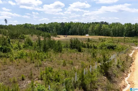 county road 16, Clanton, AL 35045 photo 24