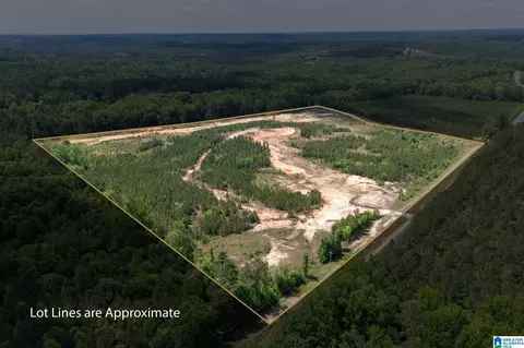 0 County Road 16 #0, Clanton, AL 35045