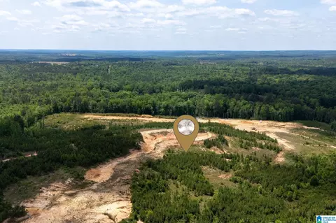 county road 16, Clanton, AL 35045 photo 10