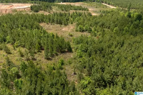 county road 16, Clanton, AL 35045 photo 22