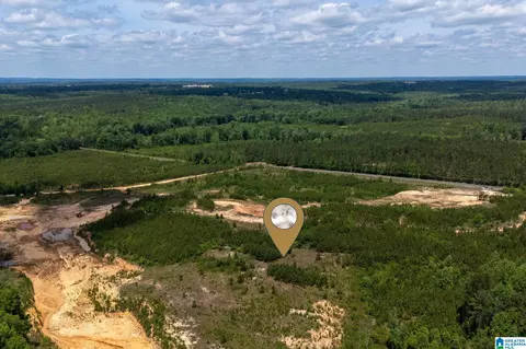 county road 16, Clanton, AL 35045 photo 7