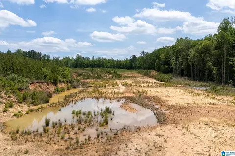 county road 16, Clanton, AL 35045 photo 13