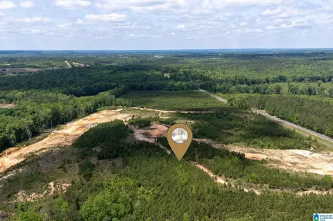 county road 16, Clanton, AL 35045 photo 8