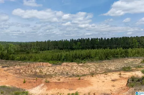 county road 16, Clanton, AL 35045 photo 17