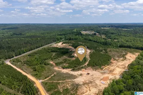 county road 16, Clanton, AL 35045 photo 4