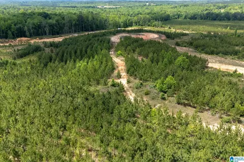 county road 16, Clanton, AL 35045 photo 19