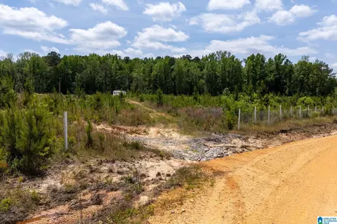 county road 16, Clanton, AL 35045 photo 25