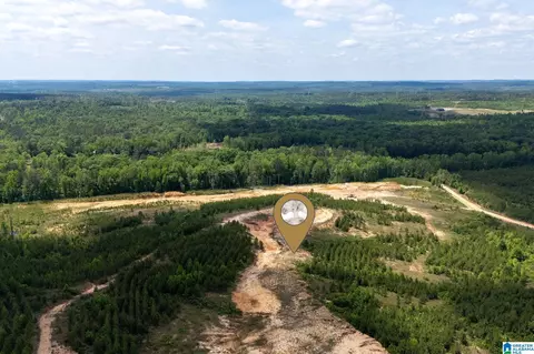 county road 16, Clanton, AL 35045 photo 9
