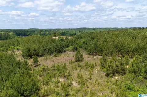 county road 16, Clanton, AL 35045 photo 15
