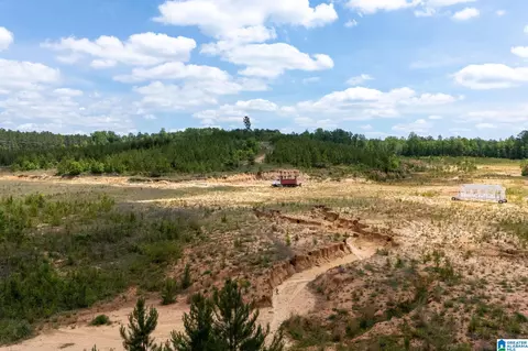 county road 16, Clanton, AL 35045 photo 12