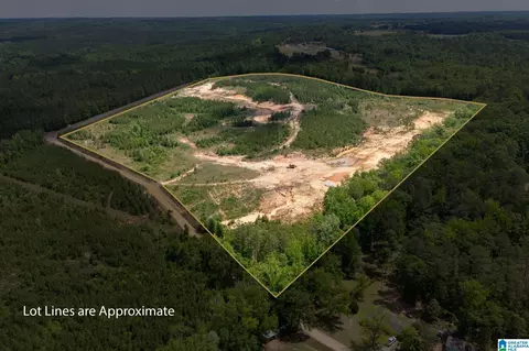 county road 16, Clanton, AL 35045 photo 3