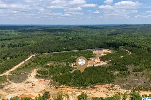county road 16, Clanton, AL 35045 photo 6