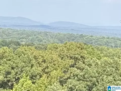 345 County Road 467, Vincent, AL 35178