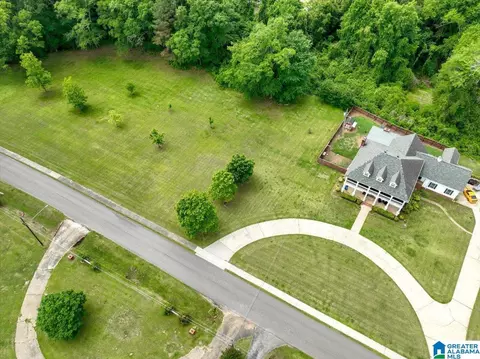 View/Area - 202 Valley Rd, Sulligent, AL 35586 photo 4 of 7