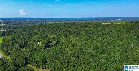 0 Highway 145 #PARCEL 2, Clanton, AL 35046