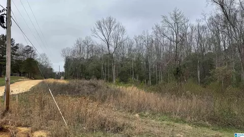 2187 County Road 340 #0, Maplesville, AL 36750