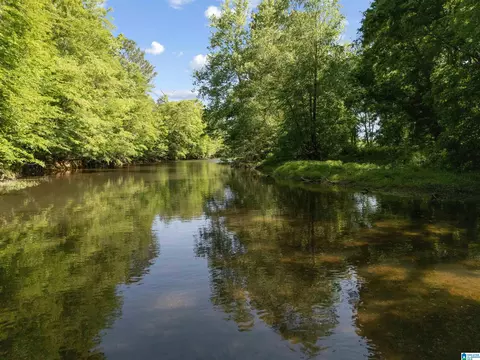 13 Acres County Road 175 #13 ACRES, Piedmont, AL 36272