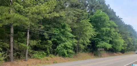 0 Us Highway 11 #1, Springville, AL 35146