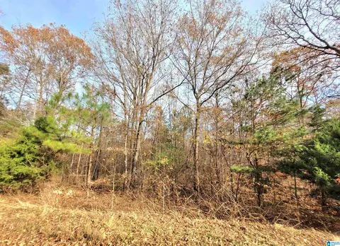 00 Rolling Hills Ln #1, Munford, AL 35160