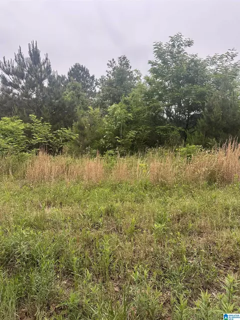 539 Thomaston Rd #33, Lincoln, AL 35096