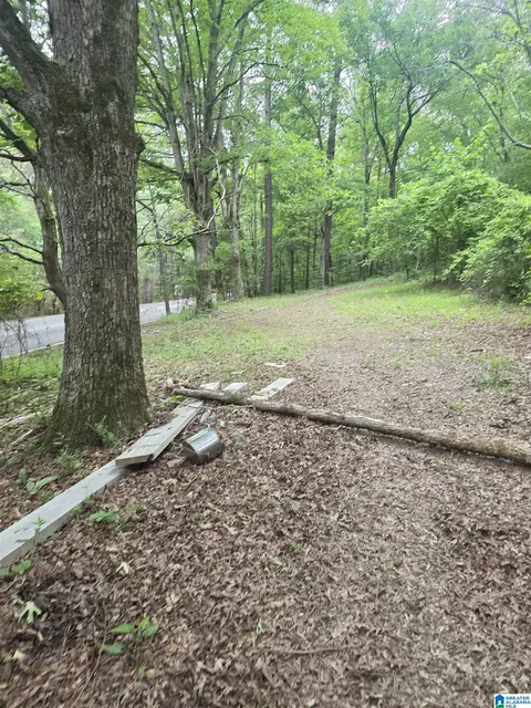3584 Self Creek Rd, Warrior, AL 35180 photo 3