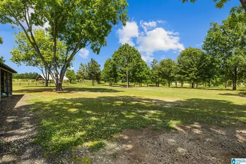 Exterior - 10872 County Road 50, Clanton, AL 35045 photo 8 of 17