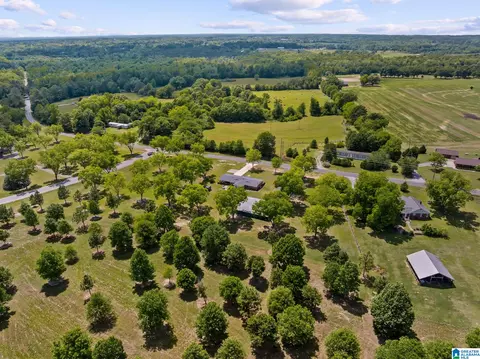 View/Area - 10872 County Road 50, Clanton, AL 35045 photo 7 of 7