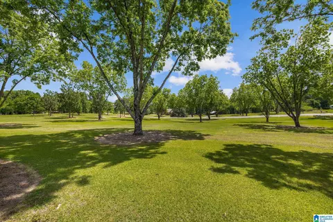 Exterior - 10872 County Road 50, Clanton, AL 35045 photo 14 of 17