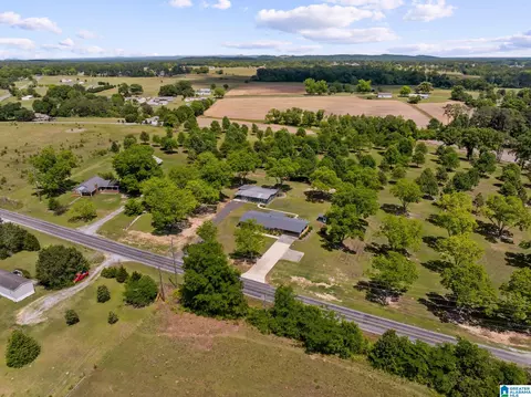 View/Area - 10872 County Road 50, Clanton, AL 35045 photo 3 of 7