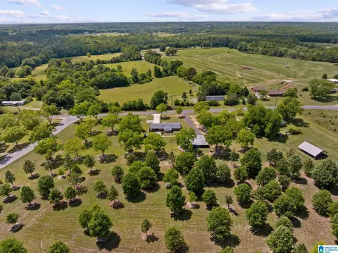View/Area - 10872 County Road 50, Clanton, AL 35045 photo 6 of 7