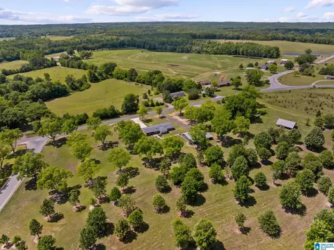 View/Area - 10872 County Road 50, Clanton, AL 35045 photo 5 of 7