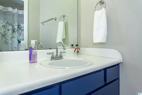 Bath - 1312 Applegate Dr, Alabaster, AL 35007 photo 2 of 5