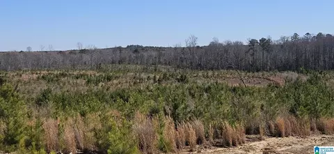 0 Highway 139 #20, Randolph, AL 36792