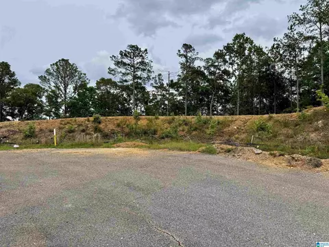 150 Broken Arrow Ln #116, Sylacauga, AL 35151