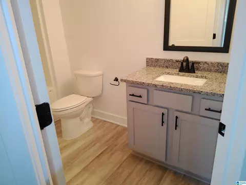 Bath - 347 Union Loop, Montevallo, AL 35115 photo 6 of 9