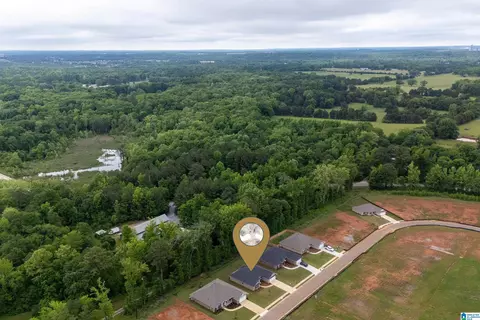 View/Area - 343 Union Loop, Montevallo, AL 35115 photo 9 of 12