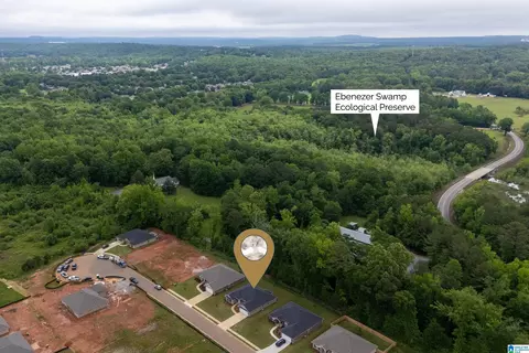 View/Area - 343 Union Loop, Montevallo, AL 35115 photo 6 of 12
