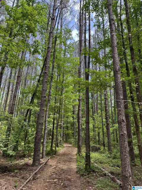 17 Presbyterian Church Rd #17, West Blocton, AL 35184