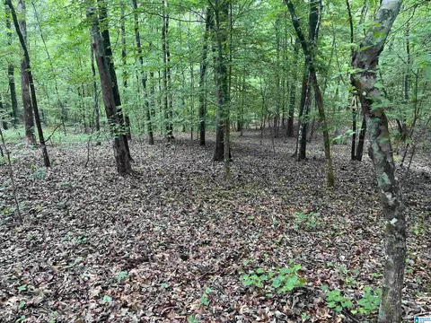 0 Gilmer Ave #NONE, Tallassee, AL 36078