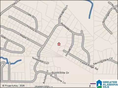 4 Acres Woodland Hls #4 ACRES, Alabaster, AL 35114