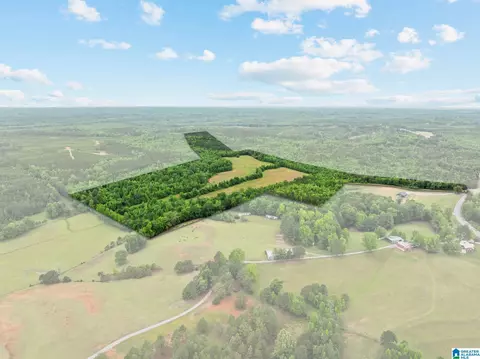 0 Hwy 91 #107 ACRES, Maplesville, AL 36750