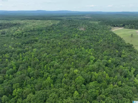 jackson farm road, Wilsonville, AL 35186