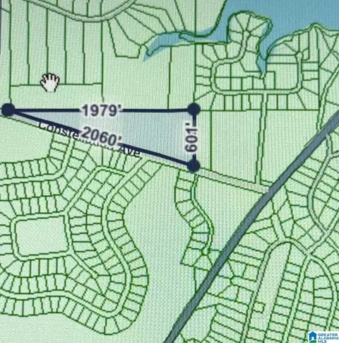 0 Constellation Dr #00, Alpine, AL 35014 photo 2