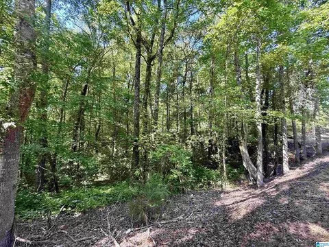 0 Settlement Rd #0, Sylacauga, AL 35150