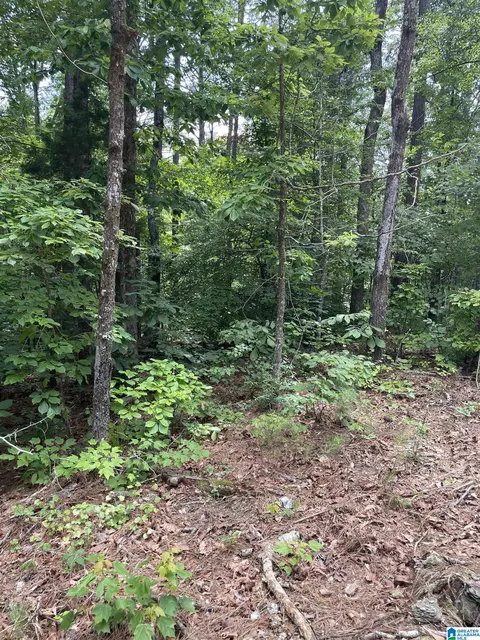 00 Mitchell Dr #3, Vance, AL 35111 photo 2