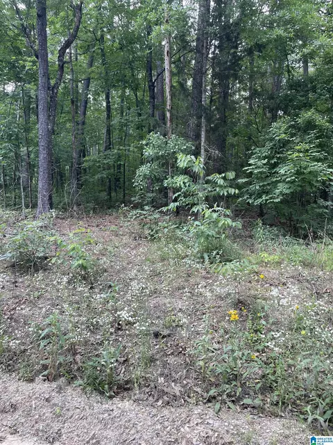 0 Muriel Dr #22, Vance, AL 35490