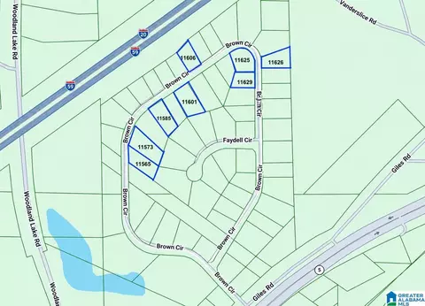 brown circle, Woodstock, AL 35188