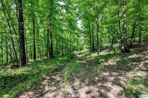 140 Hampton Lake Dr #59, Pelham, AL 35124